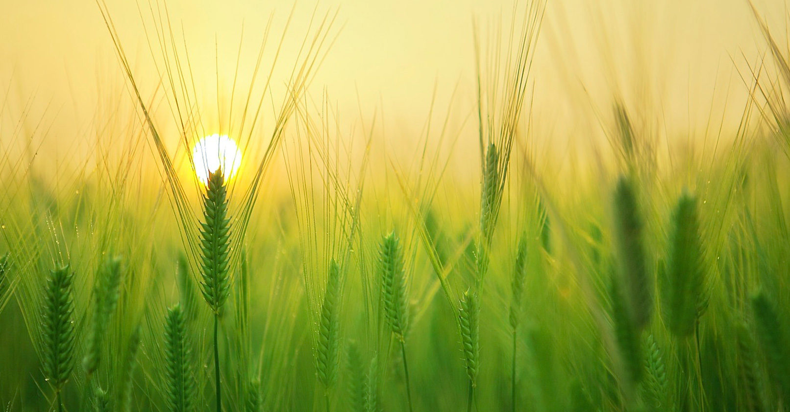 comment prouver l existence de dieu en philosophie