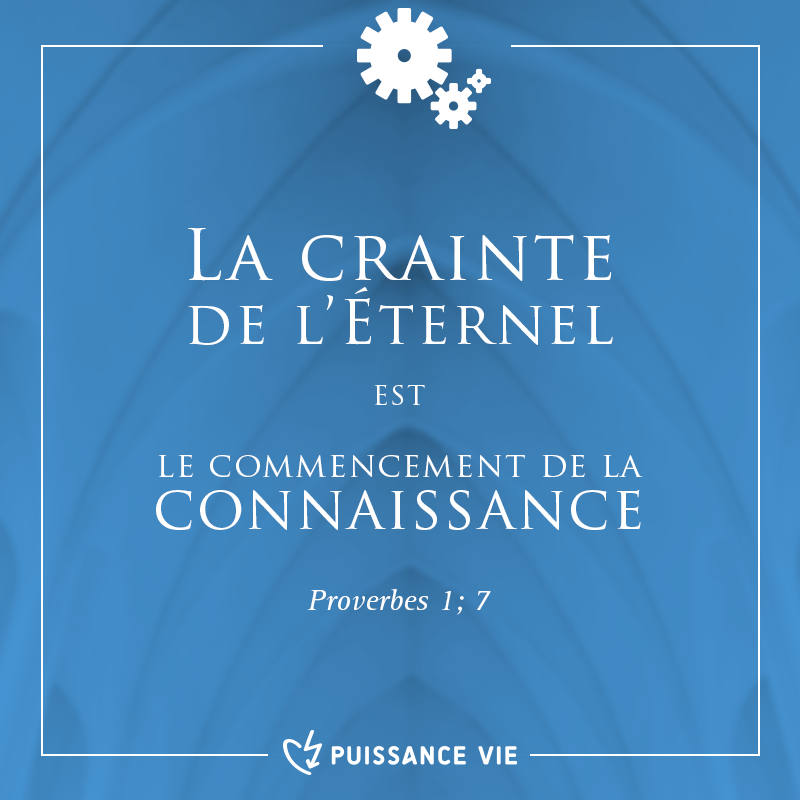 L'image de la semaine