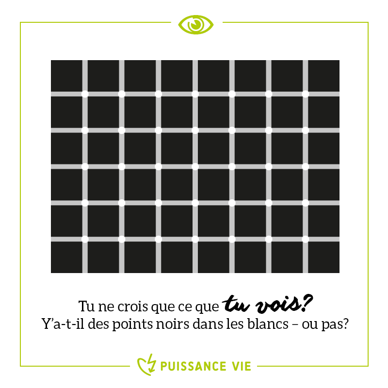 L'image de la semaine